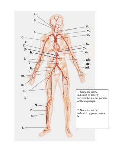 LabPracticalIBio242LGRCC