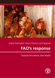 Highly Pathogenic Avian Influenza and beyond: FAO's response Towards One World, One Health