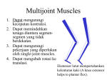 Multijoint Muscles