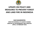 update on policy and measures to prevent forest and land fire in