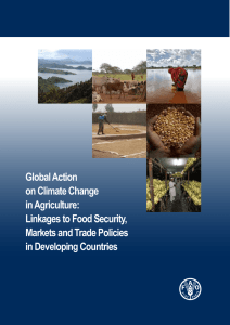 Global action on climate change in agriculture: Linkages to food security, markets and trade policies in developing countries