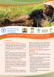 Kenya climate-smart agriculture brief
