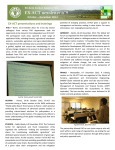 Newsletter 9. October-December 2012