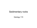 sedimentary rocks