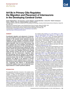 Higginbotham H, Eom TY, Mariani LE, Bachleda A, Hirt J, Gukassyan V, Cusack CL, Lai C, Caspary T, Anton ES. Developmental Cell. 2012, Nov 13 23(5):925-38. Arl13b in primary cilia regulates the migration and placement of interneurons in the developing cerebral cortex.