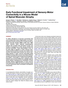 Early Functional Impairment of Sensory-Motor Connectivity in a Mouse Model of Spinal Muscular Atrophy