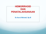 CLINICAL MENTORING 4 HEMORROID DAN PENATALAKSANAN