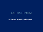 mediastinum