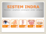 sistem indra 1