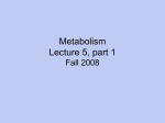 L5 Metabolism Part1 Fa08