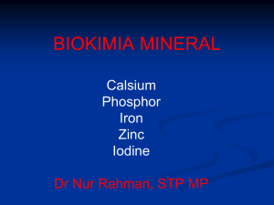 MK Biokimia - Metabolisme Mineral
