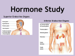 1e InteractiveHormonePPT(Student-made)