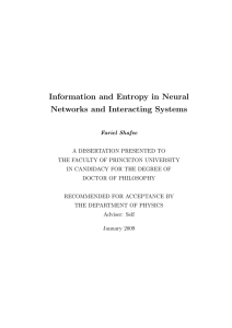 Information and Entropy in Neural Networks and Interacting Systems