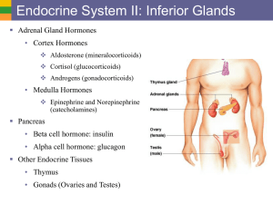 1c Endo Sys II - Inferior Glands