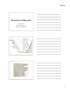 BIOL212monotremes21MAY2012