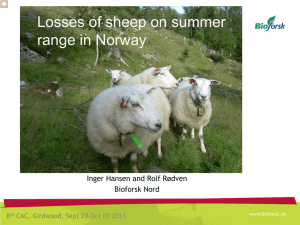 Losses of sheep on summer range in Norway