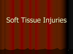 Soft Tissue Injuries Spring 07