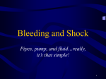 Bleeding & Shock Spring 07