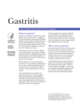 DD Gastritis FS