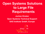 Open systems solutions to large file requirements