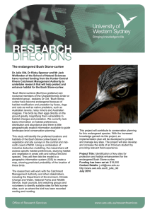 The endangered Bush Stone-curlew (PDF File 83.8 KB)
