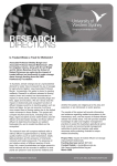 Is treated waste a treat for wetlands (PDF File 95.2 KB)