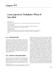 Biological Nitrogen Fixation