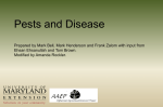 PPT_IPM_Pests_and_Diseases_WIA.pdf