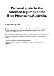 Field Guide To Blue Mountains Legumes
