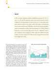 Brazil_en.pdf