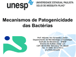 Aula Patogenicidade - Instituto de Biociências