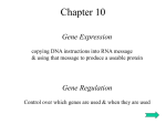Chapter 10 - Power Point Presentation