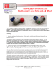 The Structure of Amino Acid Backbones in an -Helix and -Sheet