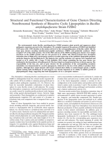 Jounral of Bacteriology