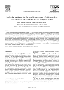 FEMS Microbiology Letters