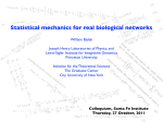 Statistical mechanics for real biological networks