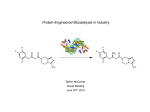 Protein-Engineered Biocatalysts in Industry