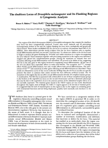 Baker, B. S., Hoff, G., Kaufman, T. C., Wolfner, M. W., and Hazelrigg, T. (1991). A cytopgenetic analysis of the doublesex locus and its flanking regions. Genetics 127: 125-138.