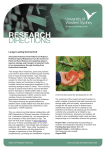 Longer lasting summerfruit (PDF File 88.3 KB)
