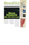 Worm research hits the fast lane