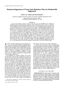 Dominant Suppressors of Yeast Actin Mutations That Are Reciprocally Suppressed.