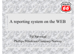 A reporting system on the WEB