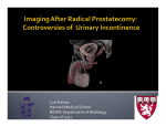 Imaging After Radical Prostatectomy: Controversies of Urinary Incontinence