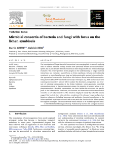 Fungal Biology Reviews