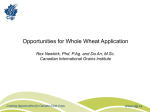 Opportunities for Whole Wheat Application