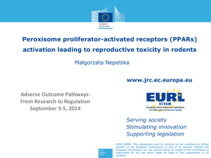 Peroxisome proliferator-activated receptors (PPARs) activation leading to reproductive toxicity in rodents