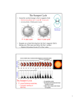 The Sunspot Cycle