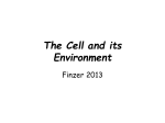 The Cell and its Environment Finzer 2013