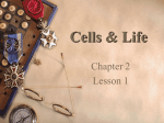 Cells &amp; Life Chapter 2 Lesson 1