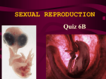 SEXUAL REPRODUCTION Quiz 6B